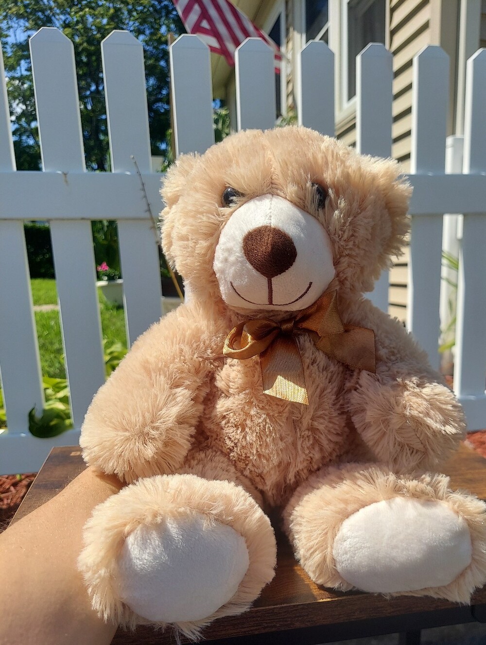 Plush Tan Teddy Bear with Satin Bow Soft Cuddly Stuffed Animal NWT Childhoodcore